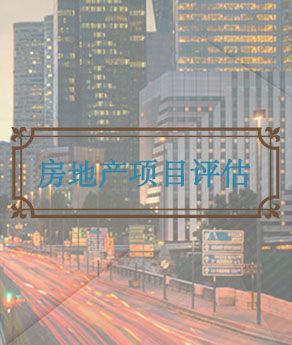 烟台房地产项目评估