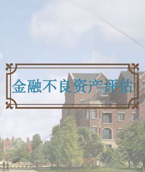 烟台金融不良资产评估